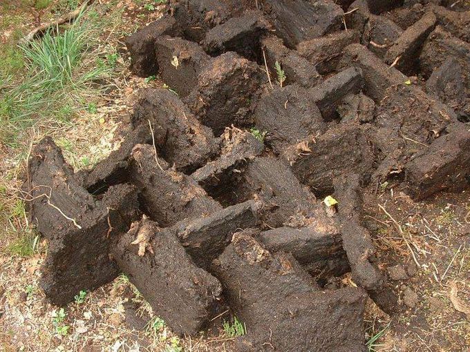 blocs de tourbe